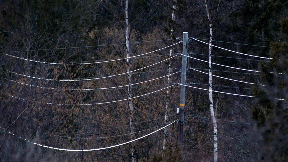 Alla som har varit med om ett längre strömavbrott förstår vikten av ett robust och stabilt elnät, skriver Cecilia Zetterström, Vattenfall Eldistribution.