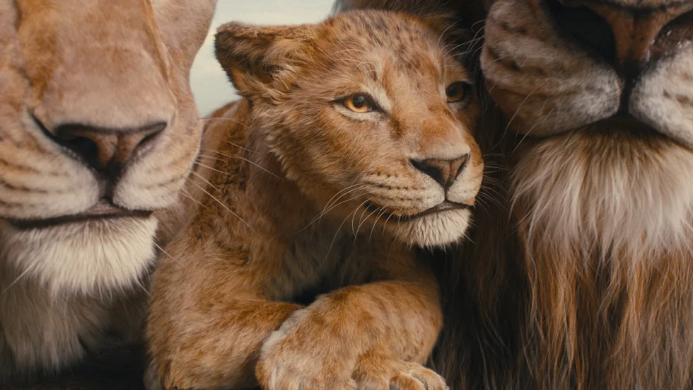 "Mufasa: Lejonkungen" berättar historien om Simbas pappa Mufasa.