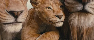 Snyggt men själlöst om Simbas pappa i "Mufasa"
