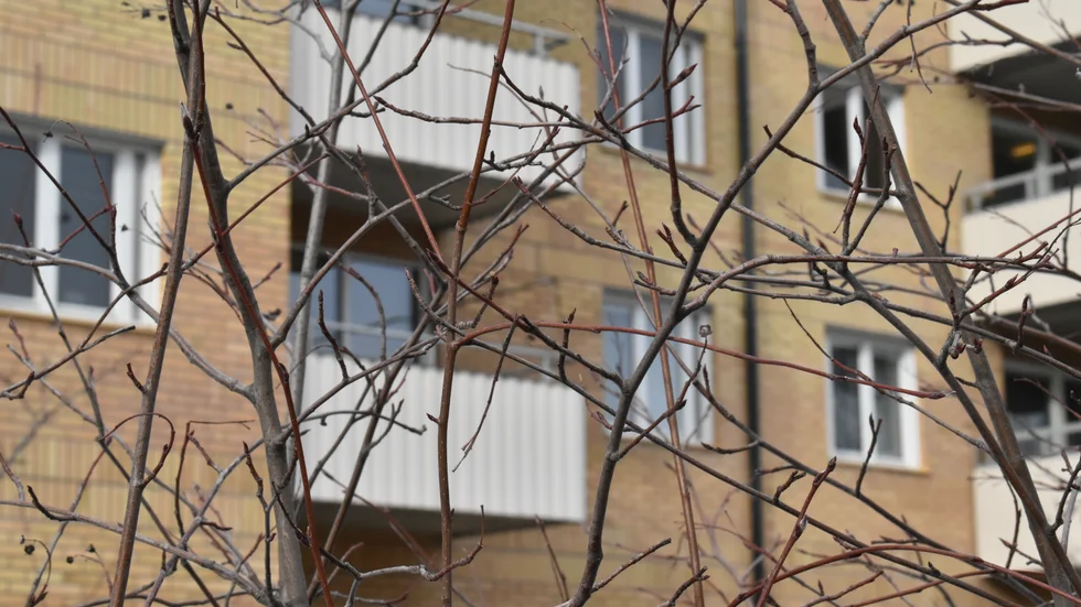 Mannen föll mot sin död från en av balkongerna. Personalen och de andra på boendet har samlats för att sörja. 