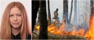 Efter bränderna: SMHI varnar för gammalt gräs som tänder lätt