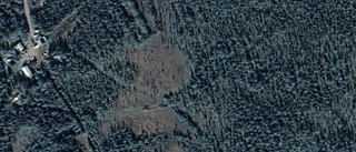 Gård i Arjeplog byter ägare