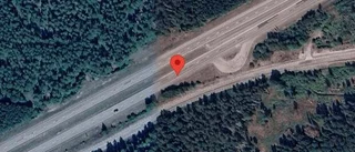 Varnar för rådjur på vägen på E4