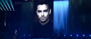 Liam Paynes familj kritiserar media