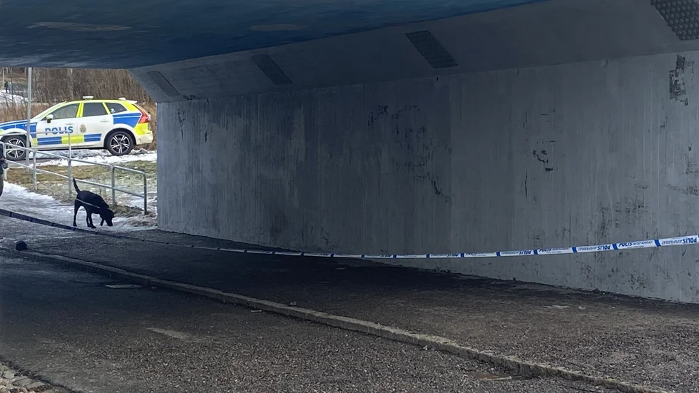 Polishunden letar spår.