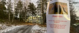 Älg attackerade hund under promenad – polis fick tillkallas