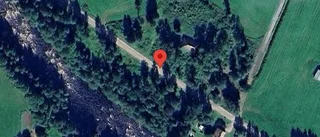 Nedfallna träd hindrar morgontrafikanter