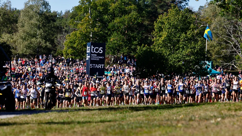 Starten i 30 kilometerloppet under Lidingöloppet den 28 september 2024 i Lidingö.