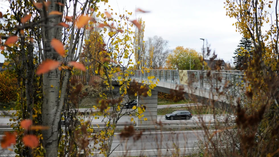 Det var när 18-åriga Leo Thorell cyklade upp på bron över Bärbyleden som han mötte kvinnan han blev oroad över.