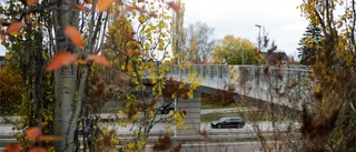 Skulle cykla hem till en vän – räddade kvinnas liv längs vägen