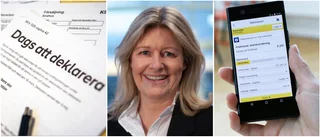 Deklarationsdags – skärpt kontroll mot stuguthyrare