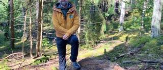 Vinnaren utsedd – så gick det för Gamlebyföretaget