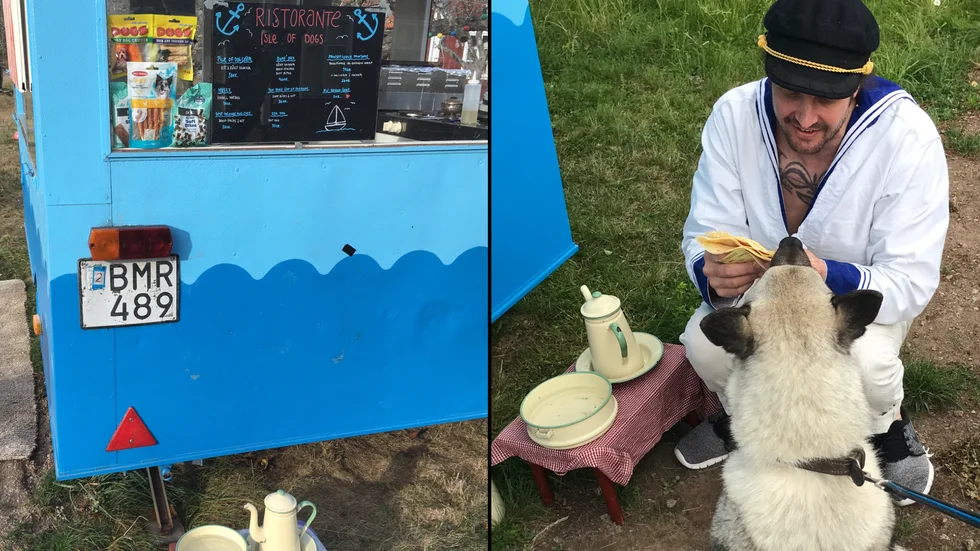 Jakthunden Malte är hedersgäst på hundrestaurangen i Vibo efter att han fastnat i skogen och sedan hittats av Anton Alm. 
