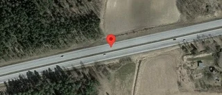 Träd över vägen påverkar trafiken på E4
