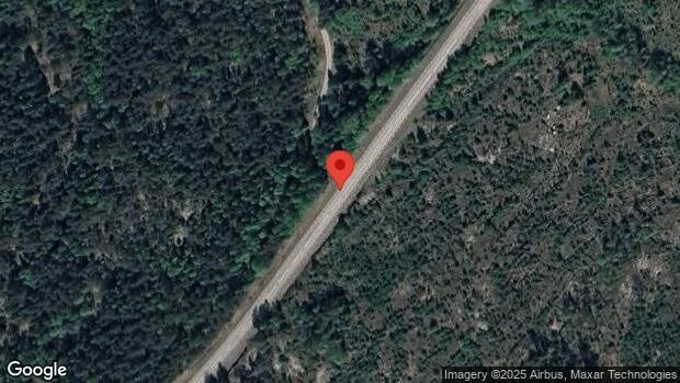 Problem i trafiken efter nedfallna träd på väg 282