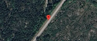 Problem i trafiken efter nedfallna träd på väg 282