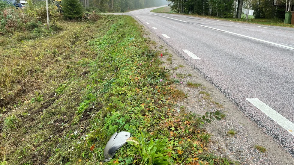 Olyckan inträffade i kurvan vid gamla kalkbruket i norra Prästholm.
