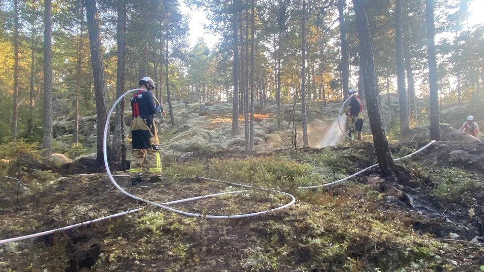 En skogsbrand utbröt på torsdagseftermiddagen vid Fåfängan utanför Läggesta.