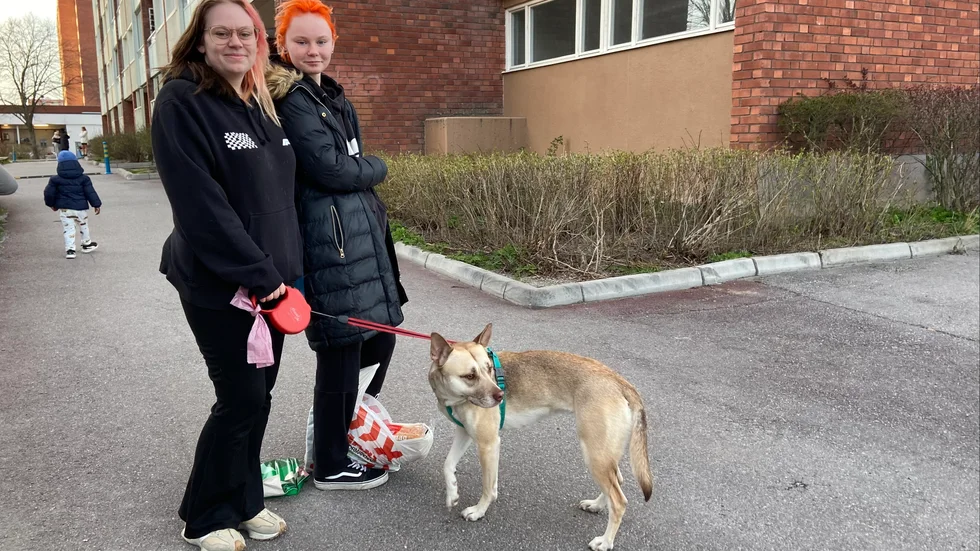 Amanda Essman, med hunden Luna, och Bea Enebell bor i huset där det började brinna i en lägenhet under söndagskvällen.