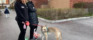 Amanda och Bea i chock: "Ringde i panik till min mamma" 