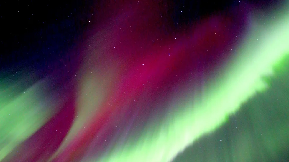 Marja-Terttu Karlsson fångade en bild på ett starkt norrsken i flera färger i Pajala den 25  mars.