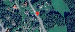 Djur på vägen kan skapa fara på väg 56