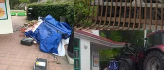 Två jordgubbar utlöste traktorattacken