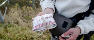 Bildspel: Efter 100 mil är stenen snart hemma