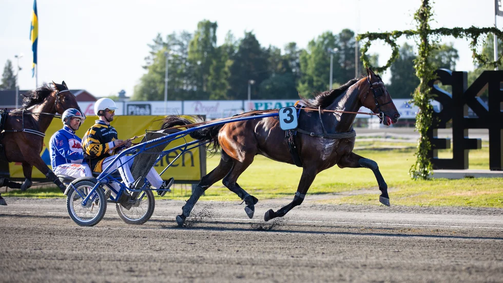 Gustaf Lindvall kan sitta och kyrkåka med Jens Eriksson bakom Lexington Tooma i ett av kändisracen.