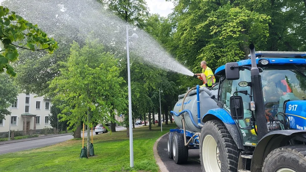 Här får de torra lindarna på Södra Promenaden en välkommen skvätt vatten.