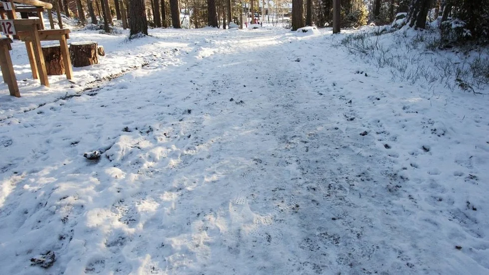 lerspår2.jpg