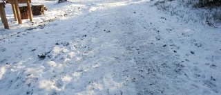 Grusning av motionsspåret pågår