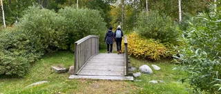 Linnéparken ska rustas upp – fokus på växtlighet