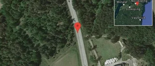 Får på vägen