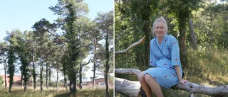 Kritik mot byggplanerna i Torslunden • Caroline vill ha grönområdet kvar • ”Man kan aldrig få tillbaka miljön om man ångrar sig”