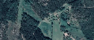 Nya ägare till fastigheten på Forsby Spångdalen 4 i Edsbruk - prislappen: 1 100 000 kronor