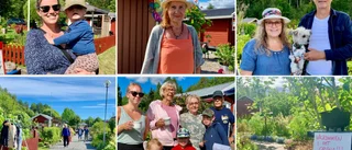 Bildextra: Många lockades att göra ett besök i det gröna under Kolonidagen • "Jättemysig att få se alla fina planteringar"