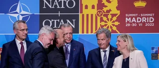 Kluvet turkiskt parlament avgör Natofrågan