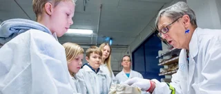 Barnen får se tusenåriga prylar