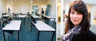 Liberalerna stormar mot uppdelad skolpeng