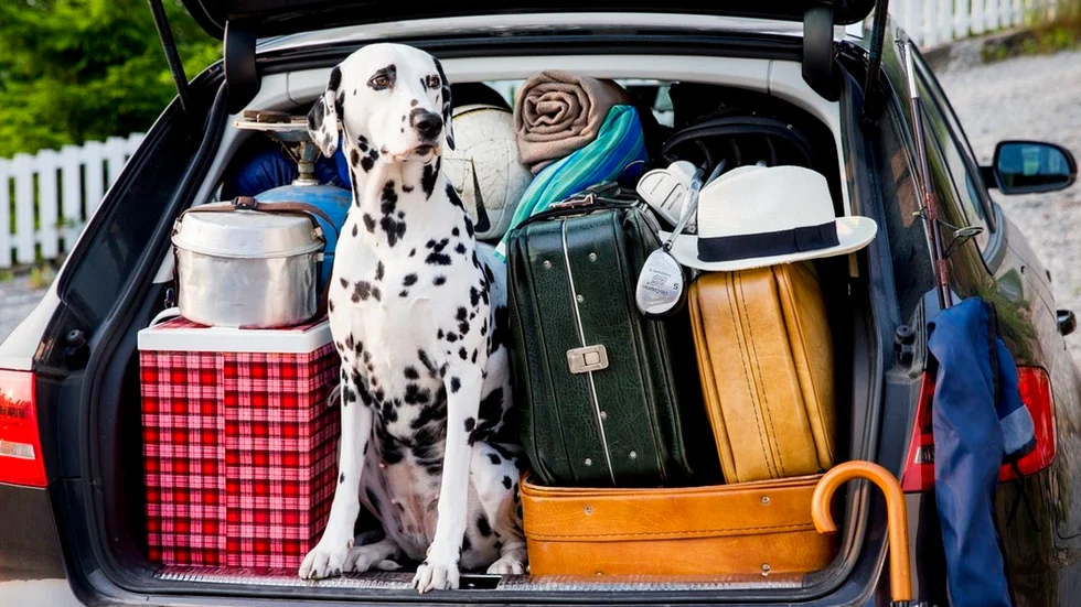 Avgiftseuropa tarvar tjock plånbok i packningen.