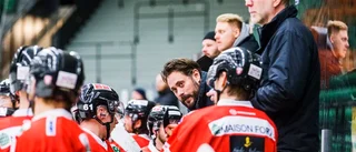 Tunt och ungt Gripen föll borta