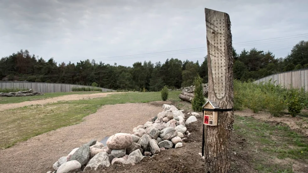 Här på ekodukten kan både större och mindre djur, samt insekter som fjärilar, tryggt och säkert passera över E6.