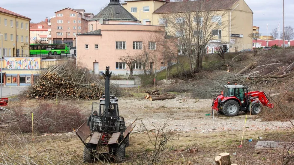 Under måndagen röjdes träden på den obebyggda tomten vid Runda banken i Flen, där nya lägenheter ska byggas inom kort.