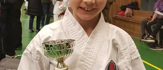 Medaljregn över karateklubbarna i Katapokalen