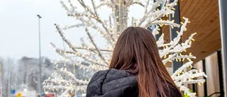 Katarinas son har inte varit i skolan på mer än ett år: "Allt görs halvdant"