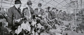 Dresscode i växthuset anno 1968
