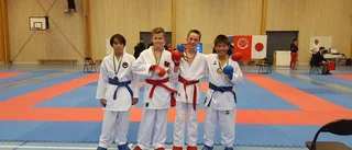 14 medaljer för Karateklubben i Stockholm