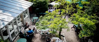 Café i Nyköping firar tre år i White guide – tar kampen mot de stora kaffekedjorna
