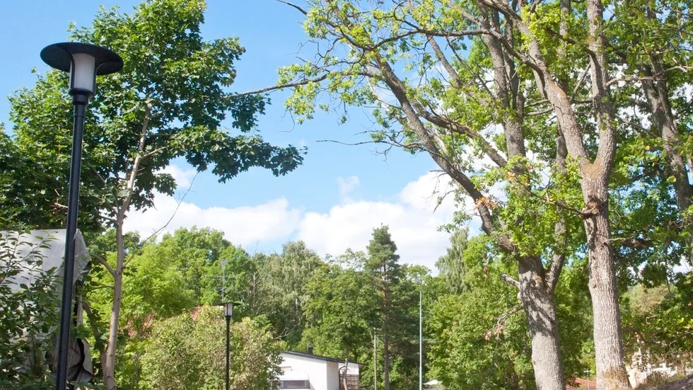 På Lundagatan 24 i Trosa finns ett flertal träd med grenar som hänger över vägen och som riskerar att brista. Bostadsrättsföreningen Ågubben 6 vill att kommunen åtgärdar problemet.